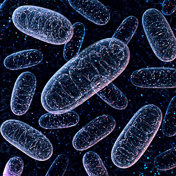 MSK-A2 代謝氨基酸混標標準品